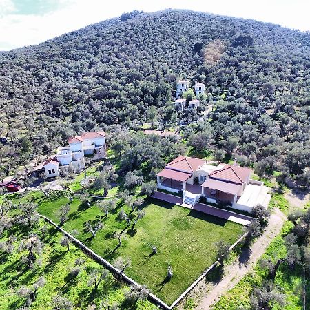 Gera'S Olive Grove - Elaionas Lesvou Hotel Marmaro  Екстериор снимка