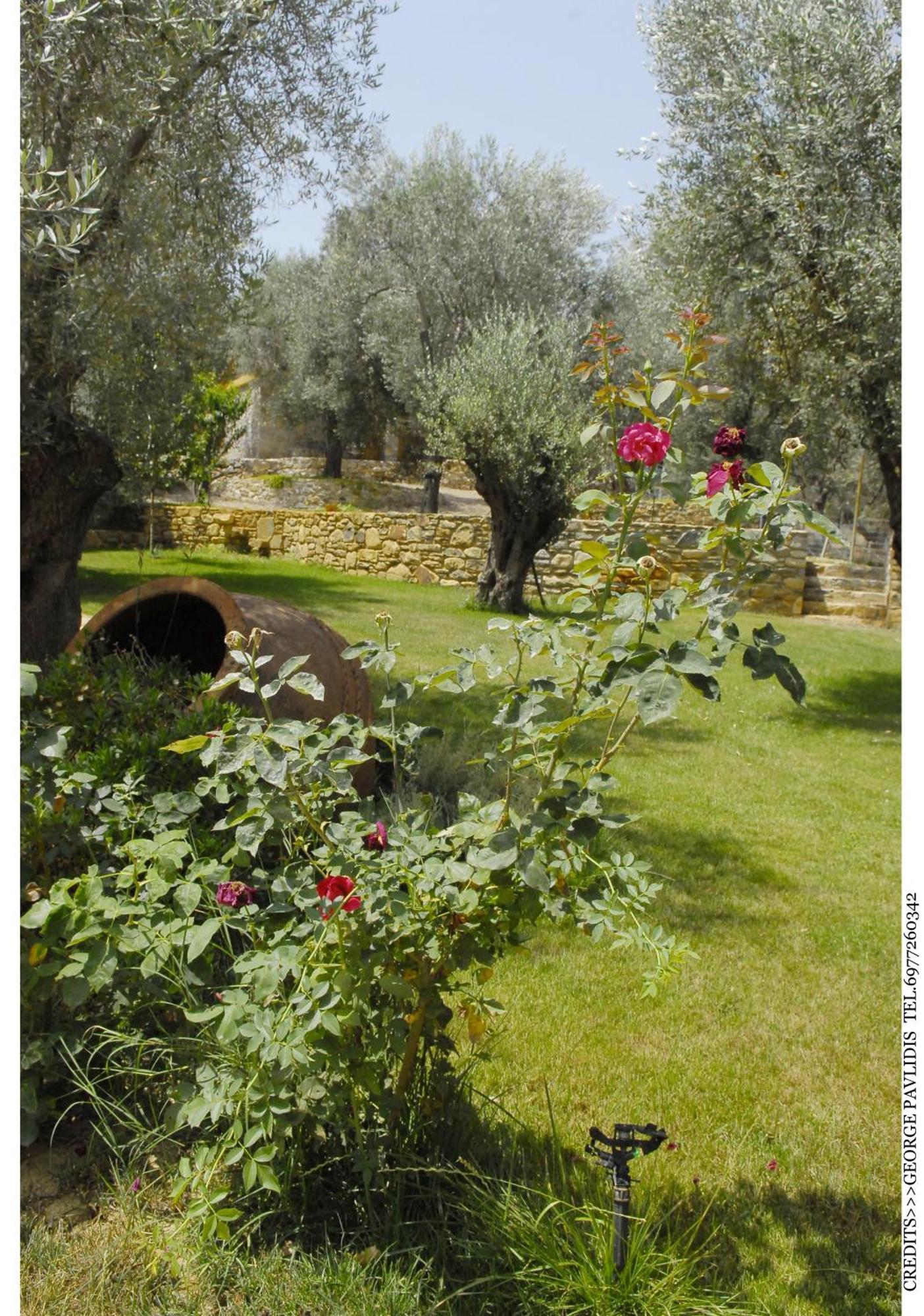 Gera'S Olive Grove - Elaionas Lesvou Hotel Marmaro  Екстериор снимка