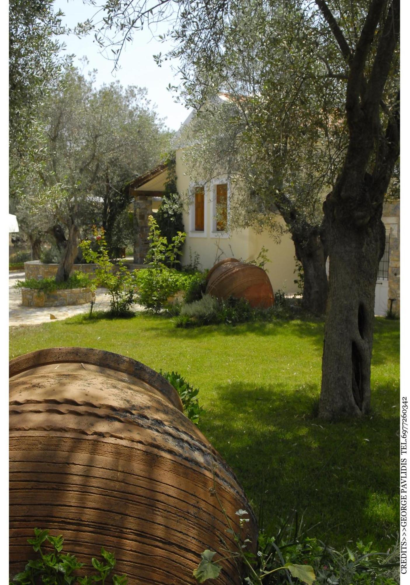 Gera'S Olive Grove - Elaionas Lesvou Hotel Marmaro  Екстериор снимка
