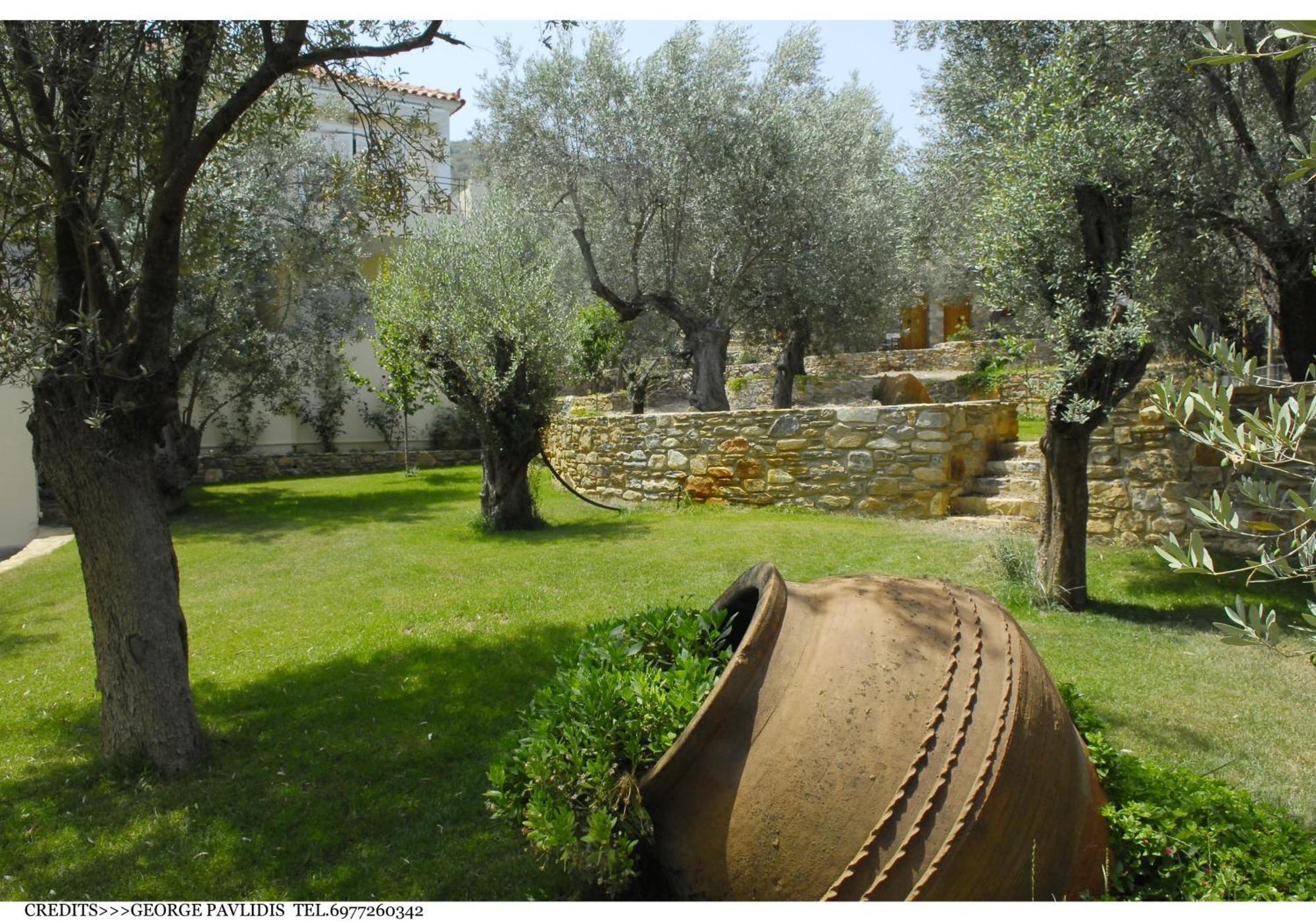 Gera'S Olive Grove - Elaionas Lesvou Hotel Marmaro  Екстериор снимка