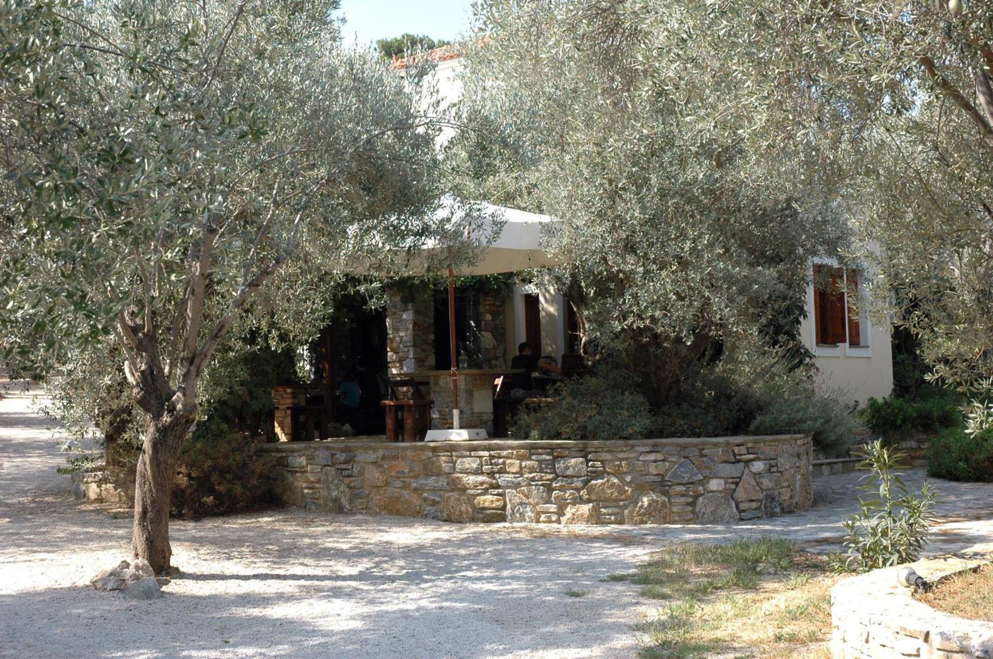 Gera'S Olive Grove - Elaionas Lesvou Hotel Marmaro  Екстериор снимка