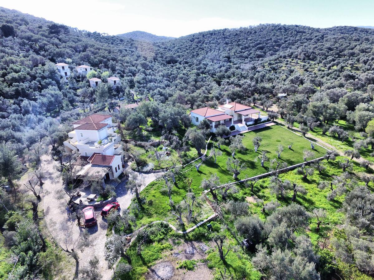 Gera'S Olive Grove - Elaionas Lesvou Hotel Marmaro  Екстериор снимка