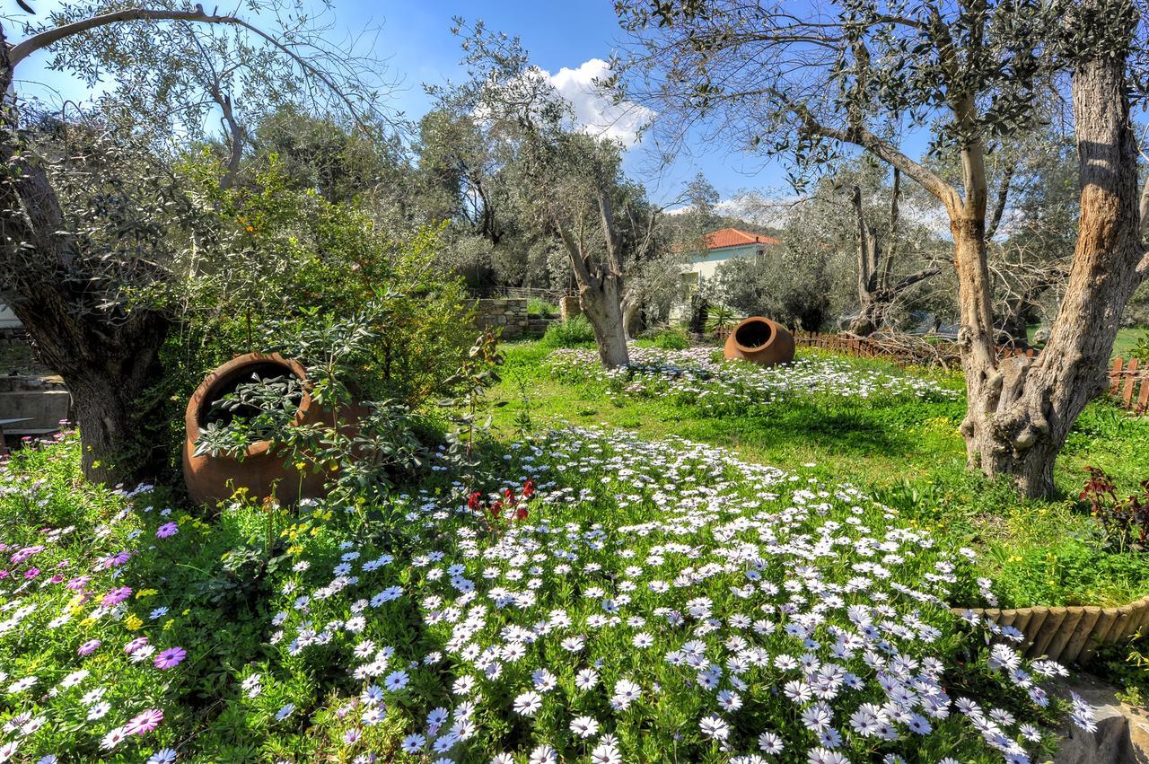 Gera'S Olive Grove - Elaionas Lesvou Hotel Marmaro  Екстериор снимка