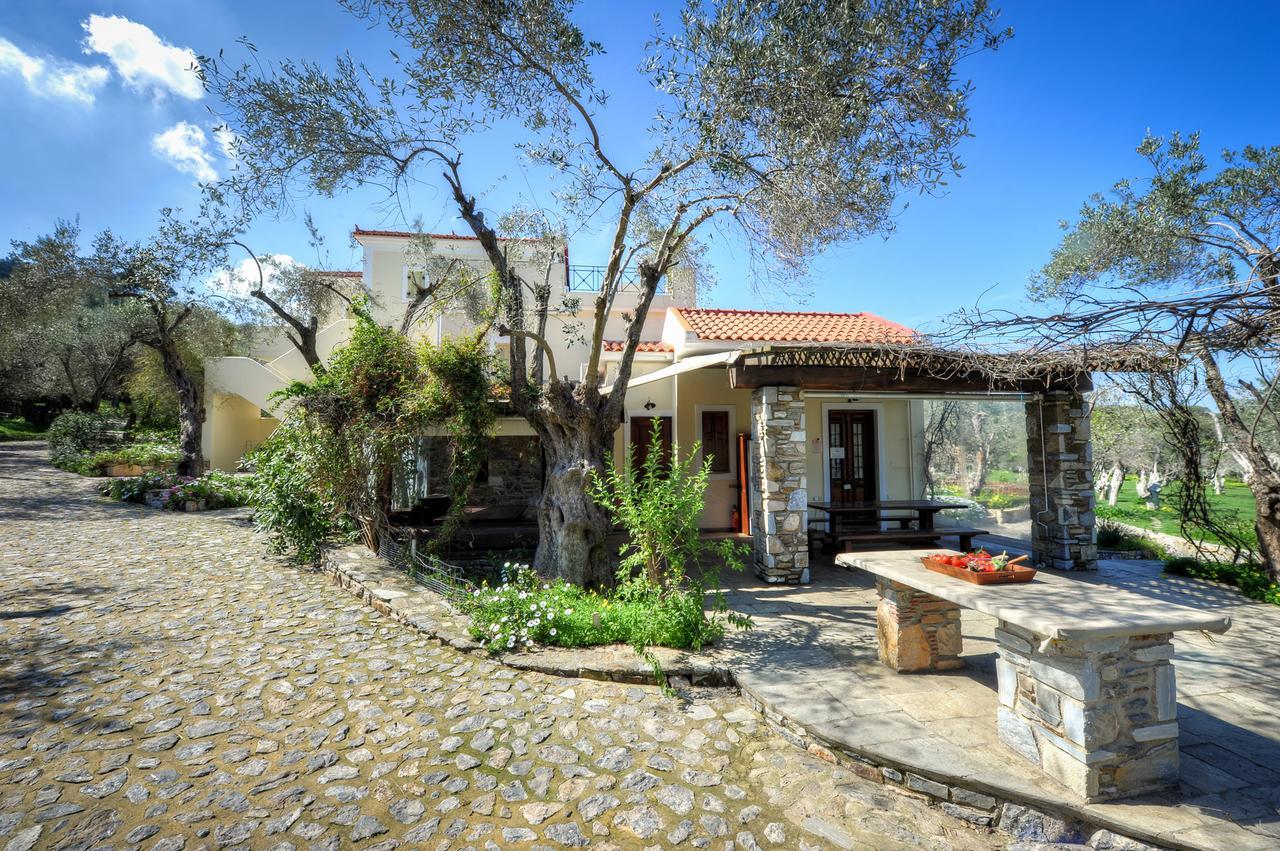 Gera'S Olive Grove - Elaionas Lesvou Hotel Marmaro  Екстериор снимка