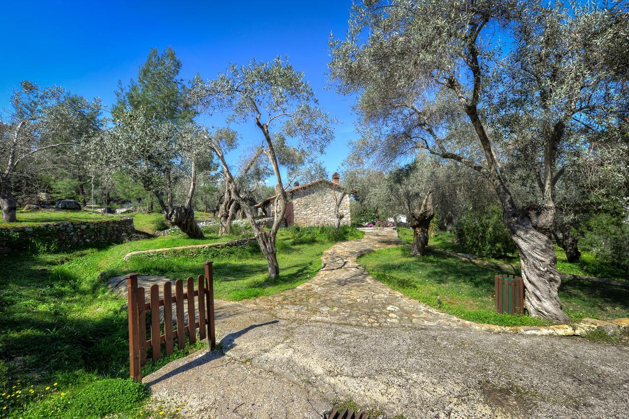 Gera'S Olive Grove - Elaionas Lesvou Hotel Marmaro  Екстериор снимка